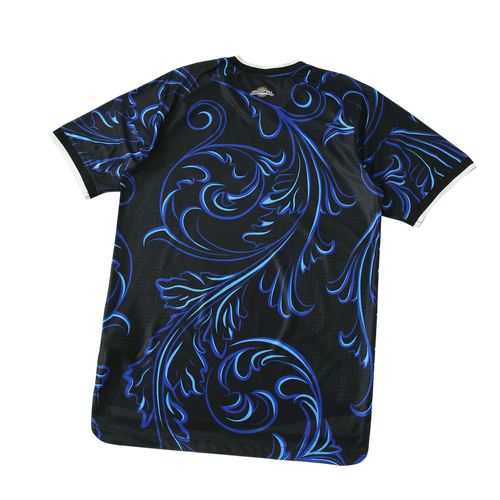 World Cup 2026 Argentina Player Away Kit