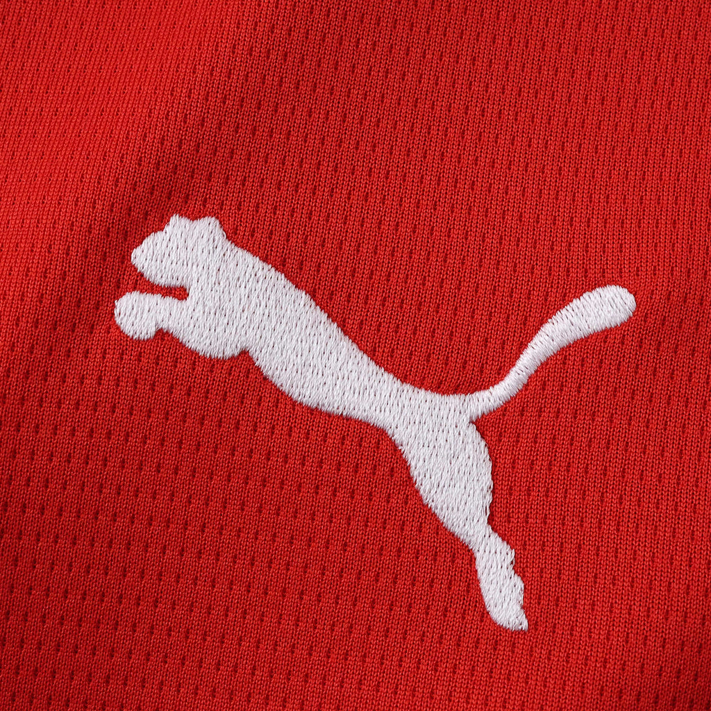 World Cup 2026 Austria Home Fan Kit