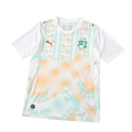 World Cup 2026 Côte d'Ivoire Player Away Kit