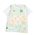 World Cup 2026 Côte d'Ivoire Away Fan Kit